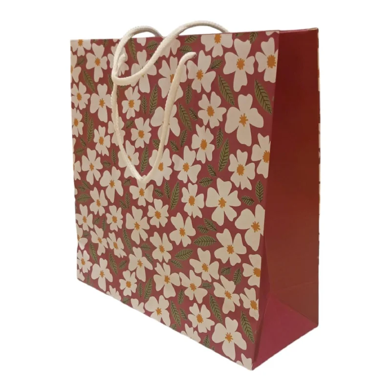 Transparent PVC shopping and gift bags with a decorative ribbon for visibility of contentsGift Bag M (B) Transparent PVC shopping and gift bags with a decorative ribbon for visibility of contentsGift Bag M (B)