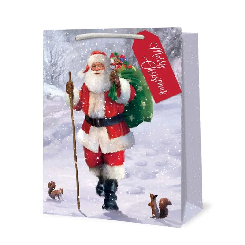 Foldable shopping and gift bags with a compact design for easy storageChristmas Gift Bag - Medium Traditional Santa