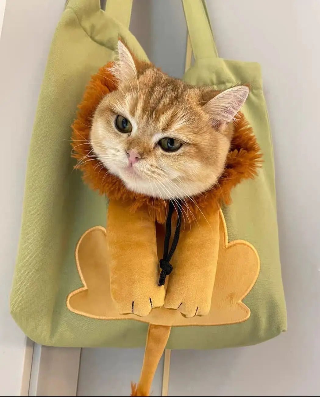 Heavy - Duty Canvas Tool Bag with Multiple Compartments for DIY Enthusiasts Royal Cat Carrier: Lion Head Canvas Design Heavy - Duty Canvas Tool Bag with Multiple Compartments for DIY Enthusiasts Royal Cat Carrier: Lion Head Canvas Design
